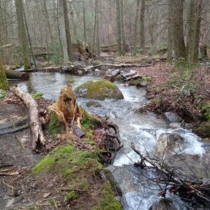 Meet your Posher, Myranda